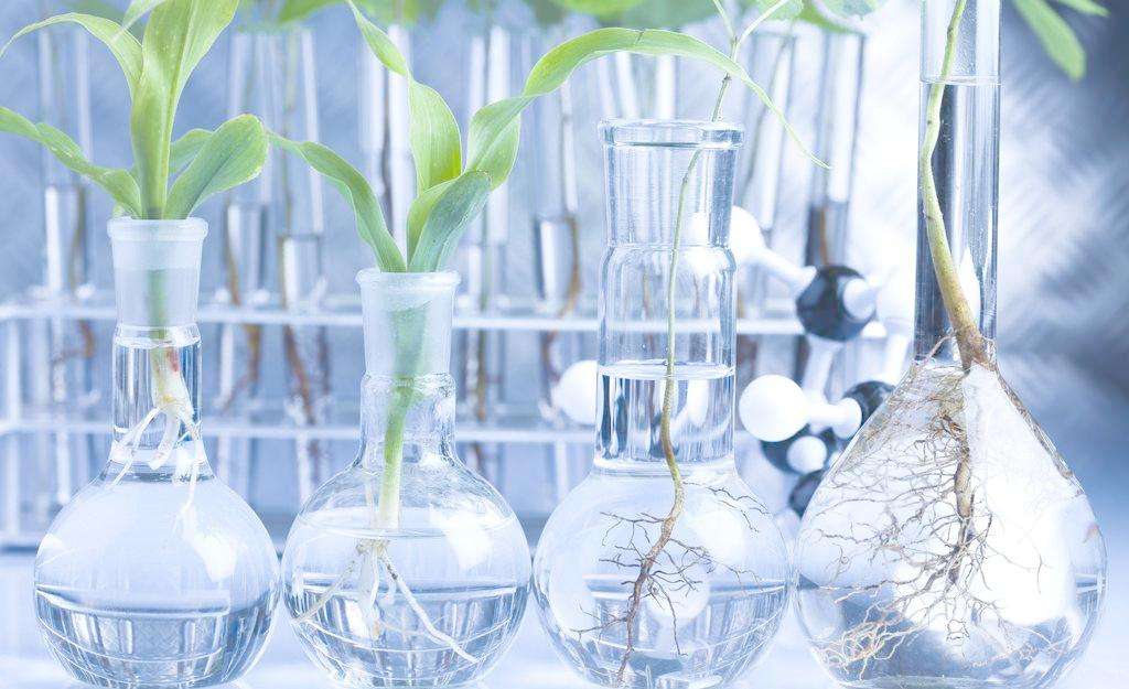 淺談綠色化學化工問題的發展和創新(圖1)